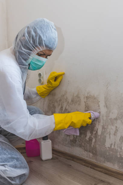 Best Biohazard Mold Removal  in Pontiac, MI