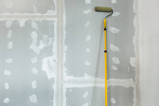 Best Black Mold Removal  in Pontiac, MI