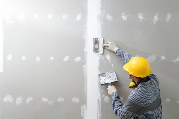 Best Environmental Consulting for Mold Prevention  in Pontiac, MI