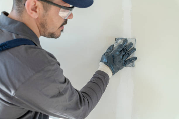 Best Comprehensive Air Testing for Mold Contaminants  in Pontiac, MI