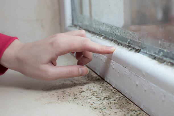 Best Air Quality Testing for Mold Spores  in Pontiac, MI