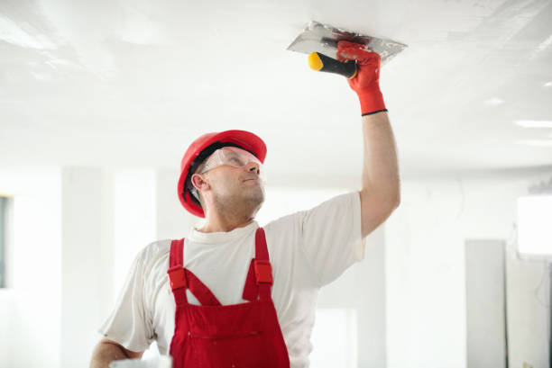 Best Commercial Mold Inspection  in Pontiac, MI
