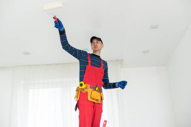 Best Emergency Mold Remediation  in Pontiac, MI