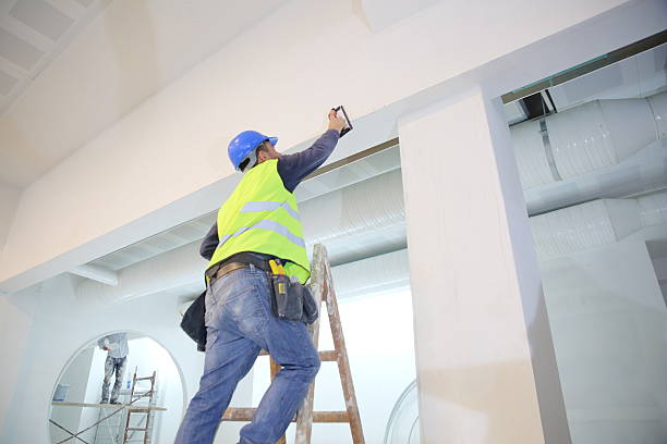 Best Real Estate Mold Inspection  in Pontiac, MI